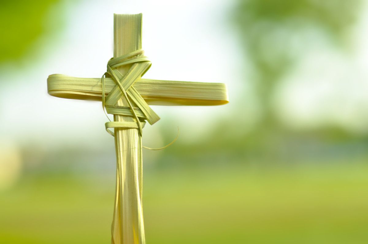 palm-sunday-dunshaughlin-and-culmullen-parishes